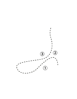 鸭的历史 <br> 《中国动物志》第二卷鸟纲雁形目中提出了家鸭是由绿头鸭和斑嘴鸭驯化而来的结论